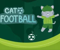 Cat Football