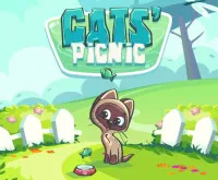 Cats Picnic