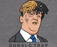 Play Donald Trap now!
