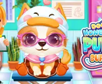 Doc HoneyBerry Puppy Surgery