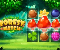Forest Match