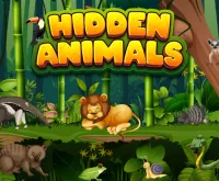 Hidden Animals