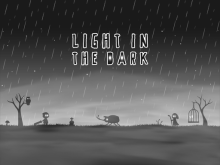 LIGHT IN THE DARK