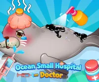 Ocean Small Hospital Doctor