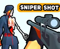 Sniper Shot: Bullet Time