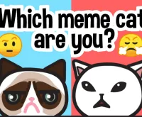 Which meme cat are you?