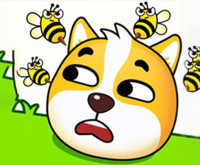 Play Save The Doge Game now!