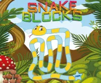 Snake Blocks