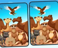 Spot 5 Differences Deserts