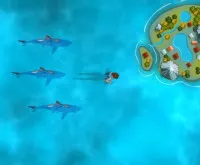 Survive the Sharks